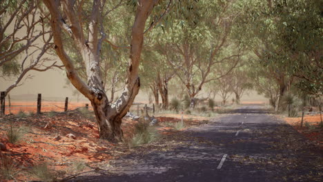 Camino-Abierto-En-Australia-Con-Arbustos
